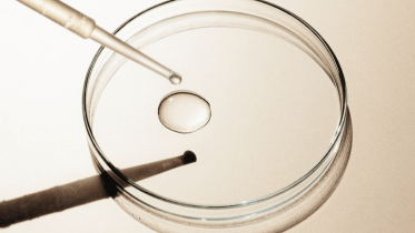 Dropper releasing a drop of liquid into a petri dish